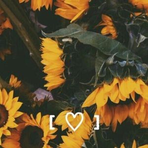 Meet your Posher, Liv